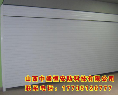 普通烤漆車(chē)庫門(mén)